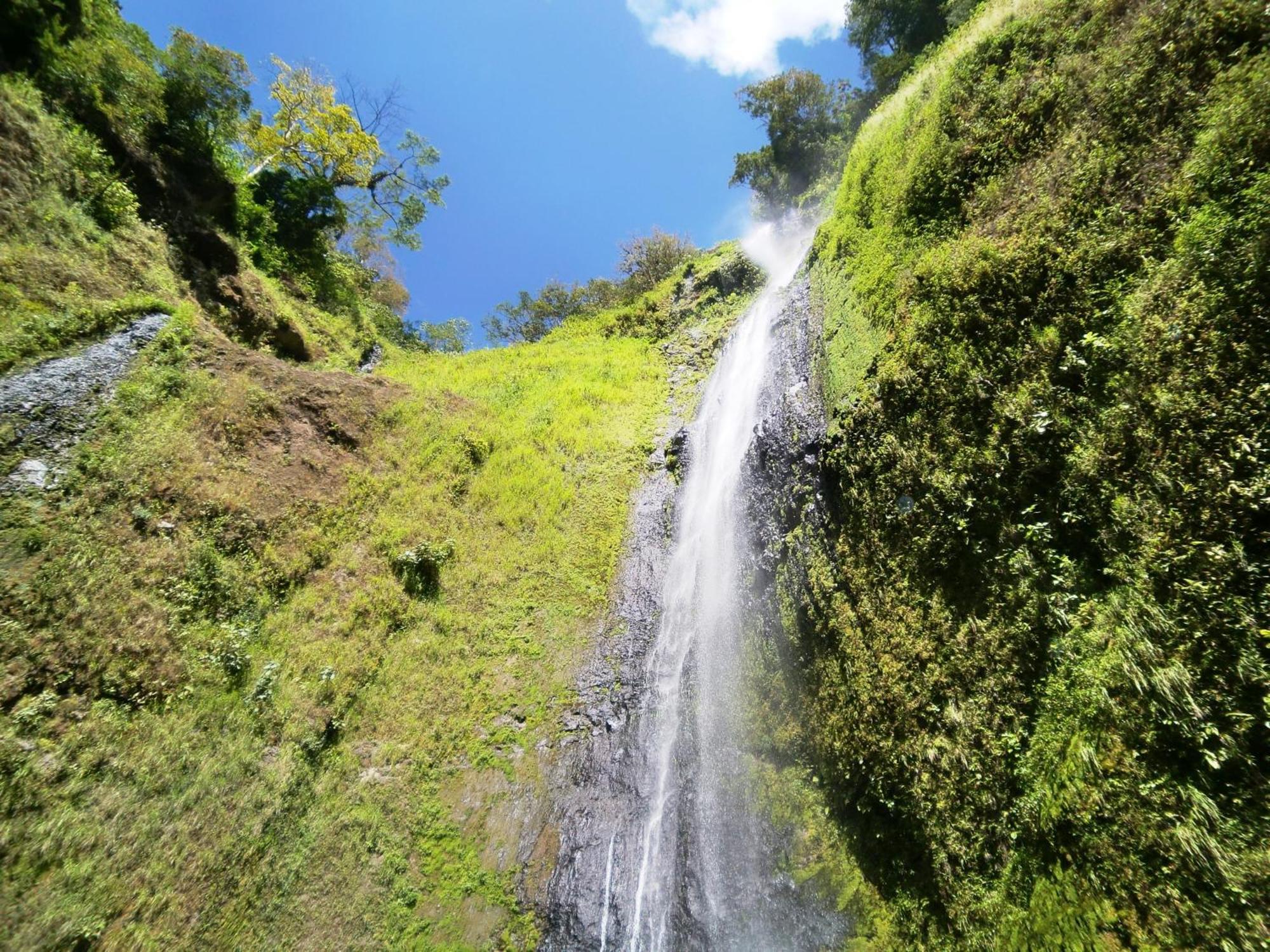 B&B, Hospedaje La Penita Altagracia Luaran gambar